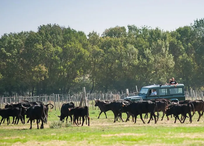 Hotel Café Miramar 3*