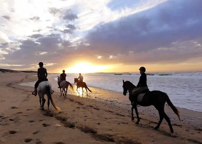 Café Miramar 3* Le Grau-du-Roi