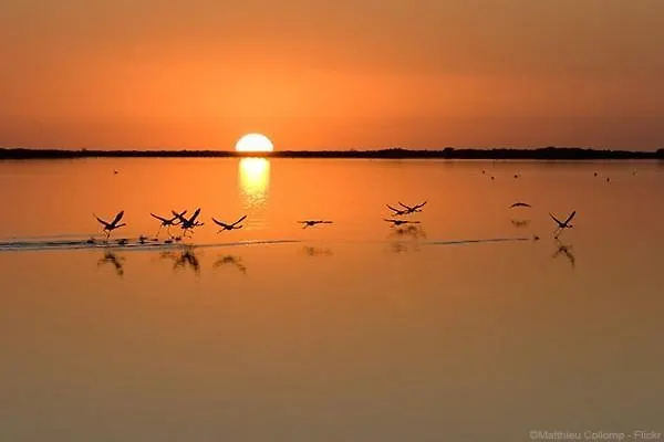 Café Miramar Hotel Le Grau-du-Roi