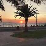 Cafe Miramar 3* Le Grau-du-Roi