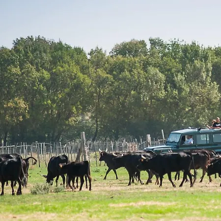 Hotel Cafe Miramar 3*