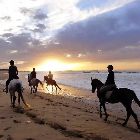 Cafe Miramar 3* Le Grau-du-Roi