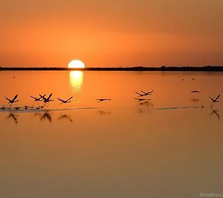 Cafe Miramar Hotel Le Grau-du-Roi